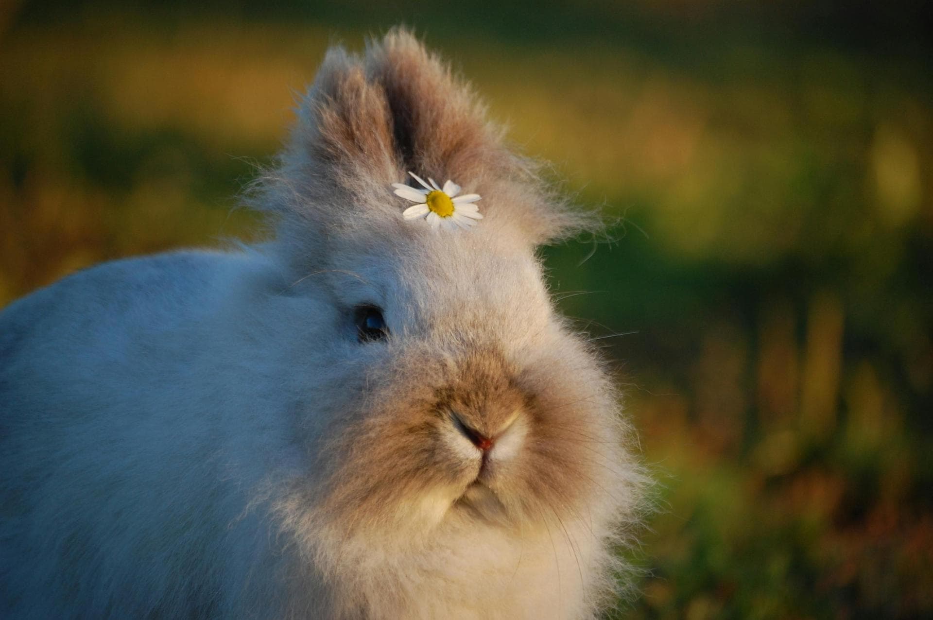 Annual Vaccination Booster Prices in Suffolk