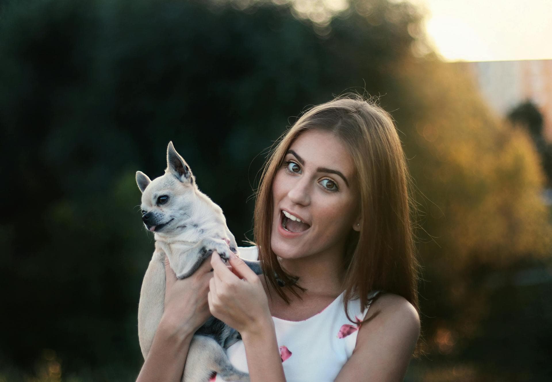 Best Vets in Framlingham